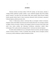 Tiesioginių užsienio investicijų samprata, teorijos ir formos 2 puslapis