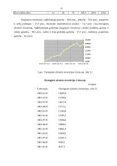 Tiesioginių užsienio investicijų samprata, teorijos ir formos 13 puslapis