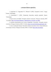 Tiesioginių užsienio investicijų samprata, teorijos ir formos 19 puslapis