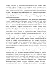 Tiesioginių užsienio investicijų samprata, teorijos ir formos 6 puslapis