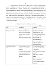 Tiesioginių užsienio investicijų samprata, teorijos ir formos 8 puslapis