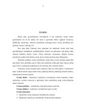 Tradicinių ir netradicinių verslų plėtojimas kaimo vietovėse 3 puslapis