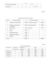Transporto įmonių ekonomika ir valdymas: baldų pervežimas UAB "Erikiukas" 13 puslapis