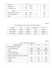 Transporto įmonių ekonomika ir valdymas: baldų pervežimas UAB "Erikiukas" 15 puslapis