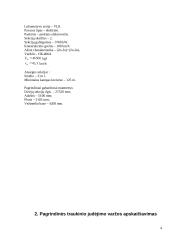 Traukinio važiavimo tarpstočių parametrų matavimas 3 puslapis