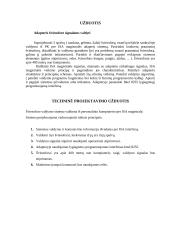 Trijų spalvų šviesoforo valdymo sistema 3 puslapis