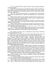 Trijų spalvų šviesoforo valdymo sistema 10 puslapis