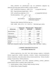 Turizmo įmonės kūrimas ir veikla: UAB "Gero kelio" 12 puslapis