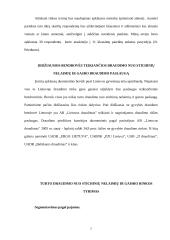 Turto draudimo nuo stichinių nelaimių ir gaisro rinkos tyrimas 5 puslapis