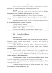 Turto paveldėjimo ir palikimo apmokestinimas 14 puslapis