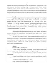 Turto paveldėjimo ir palikimo apmokestinimas 18 puslapis