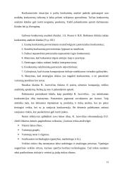 UAB "Onninen OY" strateginio valdymo analizė 13 puslapis