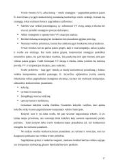 UAB "Onninen OY" strateginio valdymo analizė 17 puslapis