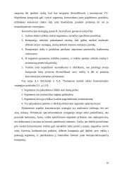 UAB "Onninen OY" strateginio valdymo analizė 19 puslapis