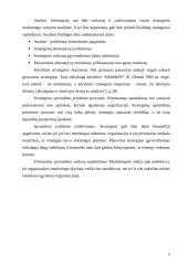 UAB "Onninen OY" strateginio valdymo analizė 5 puslapis