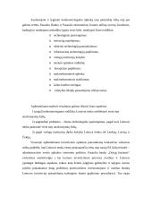 Užsienio investicijų ir investavimo problemų Lietuvoje analizė 10 puslapis