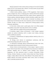 Užsienio investicijų ir investavimo problemų Lietuvoje analizė 13 puslapis