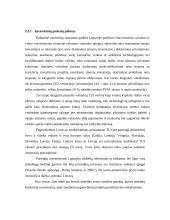 Užsienio investicijų ir investavimo problemų Lietuvoje analizė 16 puslapis