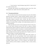 Užsienio investicijų ir investavimo problemų Lietuvoje analizė 18 puslapis