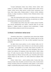 Užsienio valiutų rinka ir jos funkcijos 12 puslapis