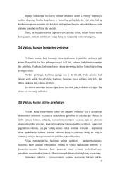 Užsienio valiutų rinka ir jos funkcijos 13 puslapis
