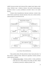 Užsienio valiutų rinka ir jos funkcijos 14 puslapis