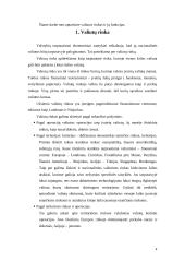 Užsienio valiutų rinka ir jos funkcijos 4 puslapis