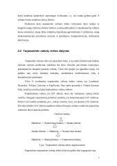 Užsienio valiutų rinka ir jos funkcijos 7 puslapis