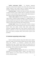 Užsienio valiutų rinka ir jos funkcijos 8 puslapis