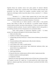 Vadovavimas ir motyvacija 4 puslapis