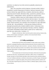 Vadovavimo esmė bei vadovavimo priemonės 12 puslapis