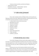 Vadovavimo esmė bei vadovavimo priemonės 13 puslapis