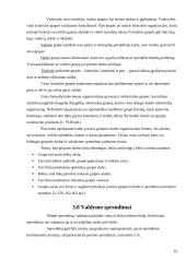 Vadovavimo esmė bei vadovavimo priemonės 19 puslapis