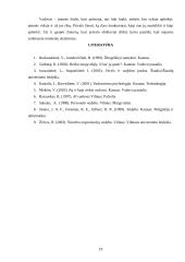 Vadovavimo problemos įmonėje 19 puslapis