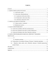 Vadovavimo problemos įmonėje 3 puslapis