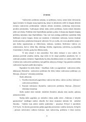 Vadovavimo problemos įmonėje 4 puslapis