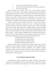 Vadovavimo stiliaus įtaka organizacijos veiklai 13 puslapis