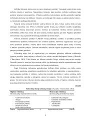 Vadovavimo stiliaus įtaka organizacijos veiklai 6 puslapis