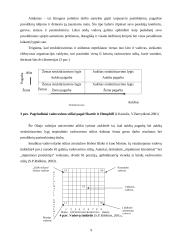 Vadovavimo stiliaus įtaka organizacijos veiklai 9 puslapis