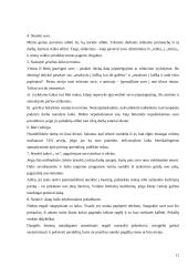 Vadovo laiko valdymas 11 puslapis