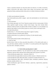 Vadovo laiko valdymas 13 puslapis