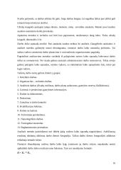 Vadovo laiko valdymas 16 puslapis