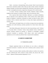 Vadovo portretas 11 puslapis