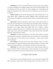 Vadovo portretas 13 puslapis
