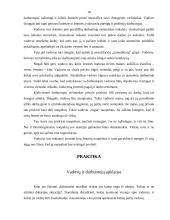 Vadovo portretas 18 puslapis