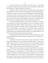 Vadovo portretas 20 puslapis