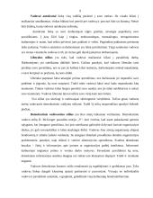 Vadovo portretas 9 puslapis
