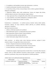 Vadovo vaidmuo viešajame sektoriuje 11 puslapis