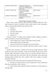 Vadovo vaidmuo viešajame sektoriuje 12 puslapis