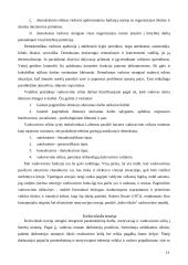 Vadovo vaidmuo viešajame sektoriuje 13 puslapis